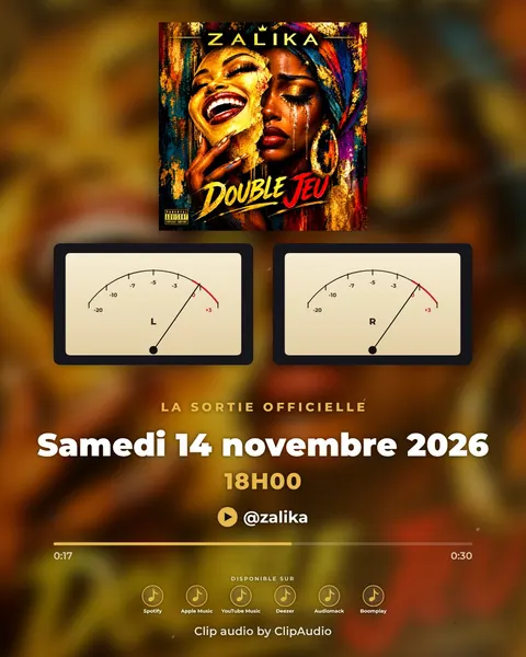 VU-mètre — Cadrans analogiques qui suivent le son